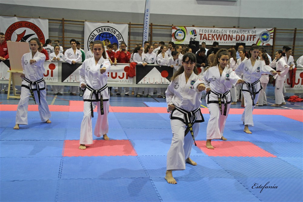 Copa Seul 2018 (305).jpg